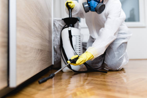  Springfield, GA Pest Control Pros