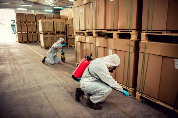 Best Affordable Pest Control Services  in Springfield, GA