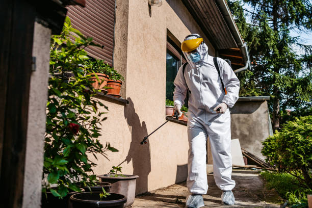 Professional Pest Control in Springfield, GA