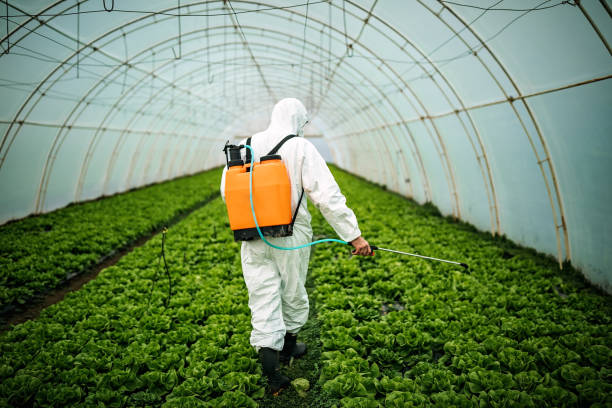 Best Commercial Pest Control Services  in Springfield, GA